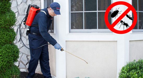 Tire Fare İlaçlama böcek ilaçlama ve haşere kontrolü — ilaclama-tr.com